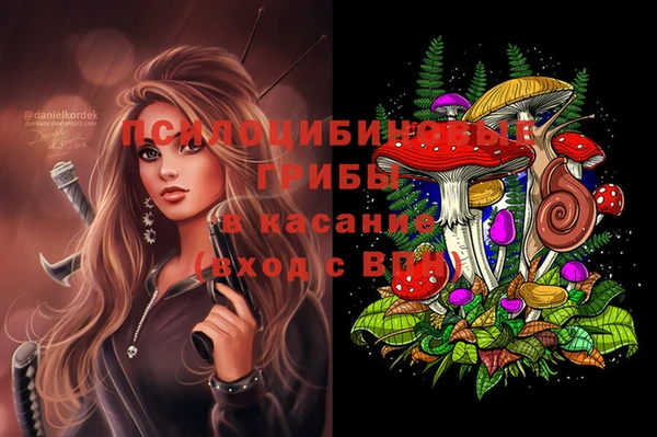 ECSTASY Осташков