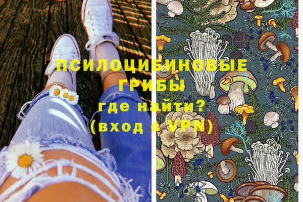 первитин Пестово