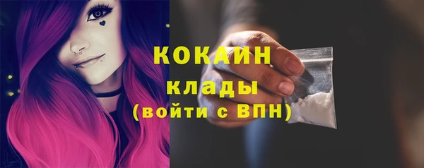 тгк Пересвет