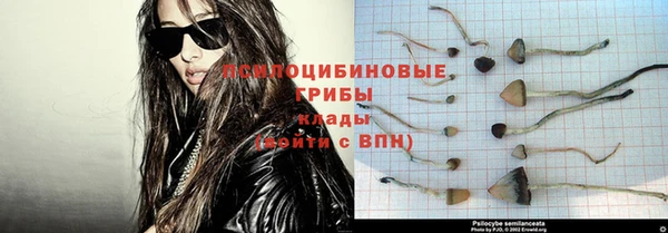 тгк Пересвет