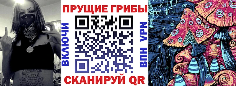 Галлюциногенные грибы прущие грибы  купить наркотики сайты  маркетплейс клад  Новомичуринск 
